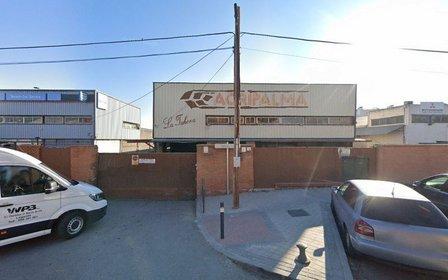 Agripalma