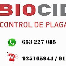 CONTROL DE PLAGAS TALAVERA. DESINFECCIÓN, DESINSECTACIÓN, DESRATIZACIÓN.
