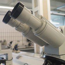 Facultad de Ciencias: Biología Celular y Genética - UAH
