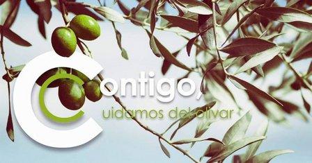 Extractora Ecológica De Mora S. A.