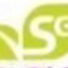 SERDEGES Servicios de Gestion