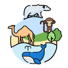 Kiddy's Earth - Academia de Inglés