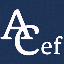 AUDICEF ASESORES S.L.