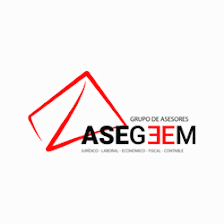 Asesoría y Gestoría Asegeem 1999 S.L.