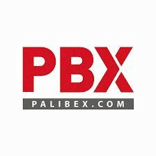 Logistics Palibex S.L.U.