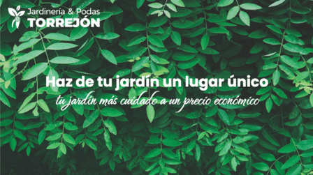 Jardinería y Podas Torrejón