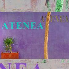 . :: :: ART SCHOOL ATENEA.