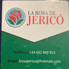 La Rosa de Jericó