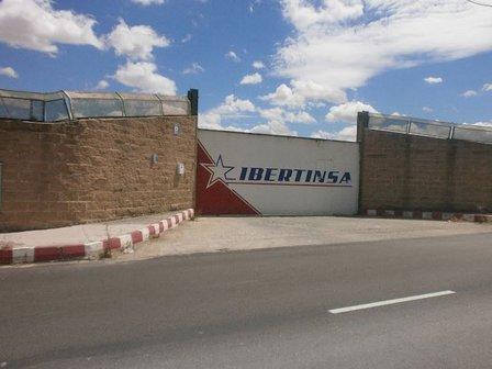 Ibertinsa