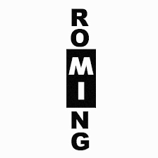 MI Rowing Club