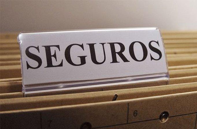 Clin Seguros
