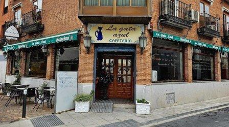 La Gata Azul