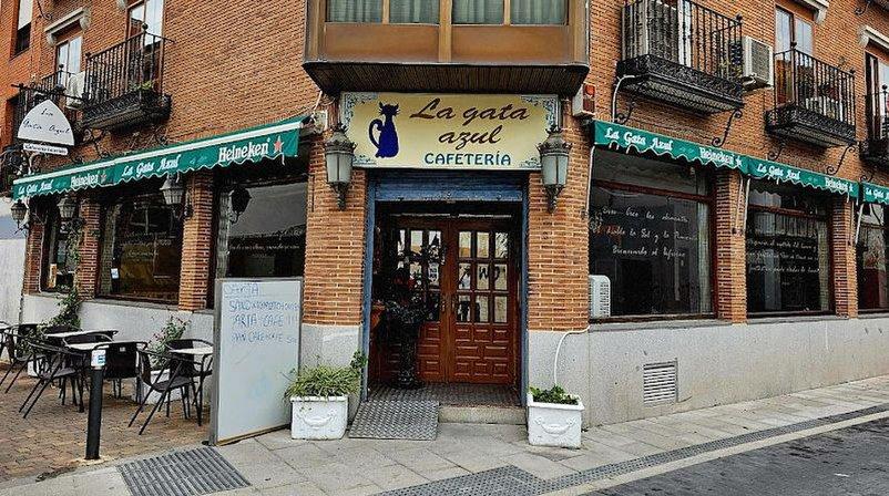 La Gata Azul