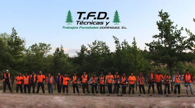 TTFD Técnicas Y Trabajos Forestales Domínguez
