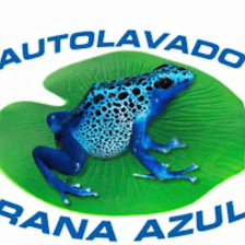 Autolavado Rana Azul