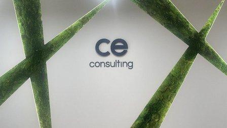 CE Consulting