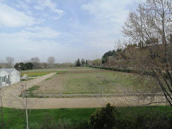 Departamento de Producción Agraria: Fitotecnia