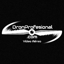 DronProfesional