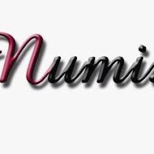 Numishunters S L
