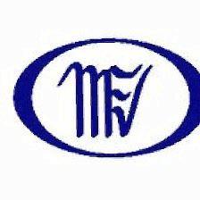 MFV ASESORES