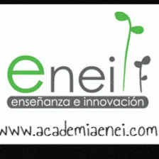 Academia Enei