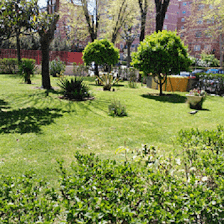 Jardinería y Mantenimiento Carlos Moreno