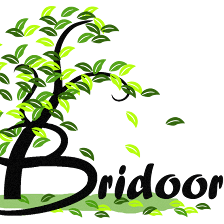 Bridoor, C/Bañeza