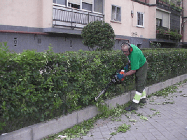 Jardinería y Mantenimiento Carlos Moreno