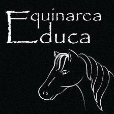 Equinarea Educa Caballos, Terapias, cursos, talleres, visitas guiadas y Gestalt