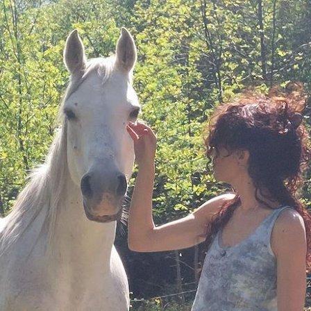Equinarea Educa Caballos, Terapias, cursos, talleres, visitas guiadas y Gestalt