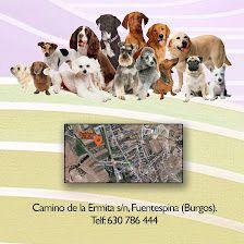 Residencia Canina De Gamata