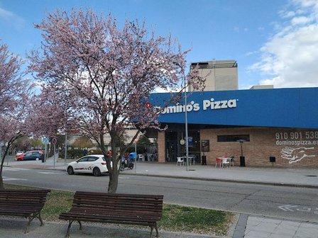 Domino's Pizza