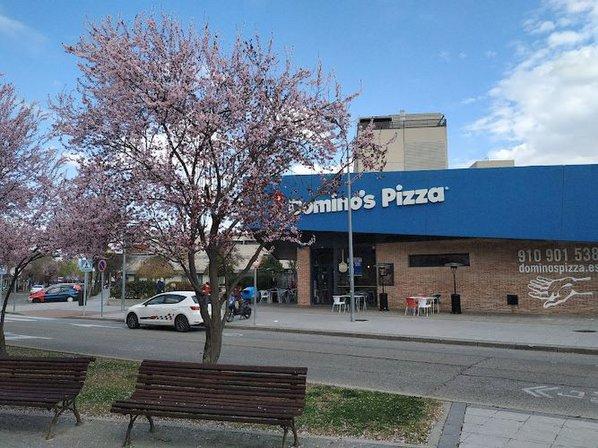 Domino's Pizza