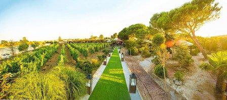 Finca Los Olivos