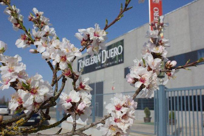 Cooperage Duero