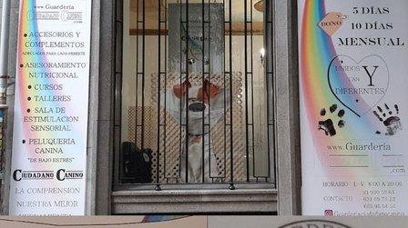 Guarderia ciudadano canino