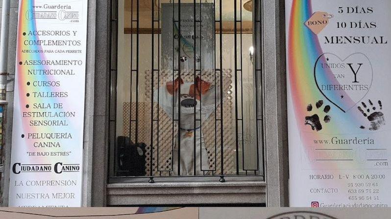Guarderia ciudadano canino