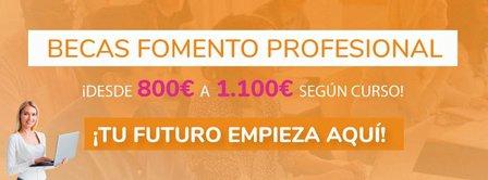 Fomento Profesional