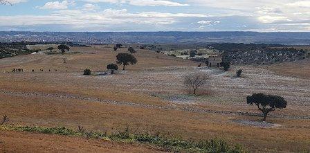 Enmedio field firing range
