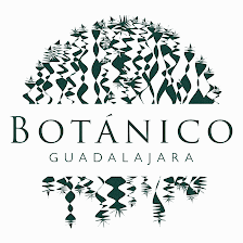 Botánico Guadalajara | Restaurante