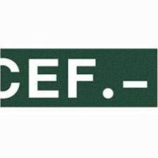 CEF Center for Financial Studies