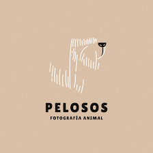 Pelosos