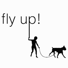 EVENTOS Fly Up!