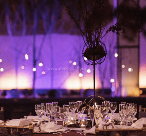 EVENTOS Fly Up!