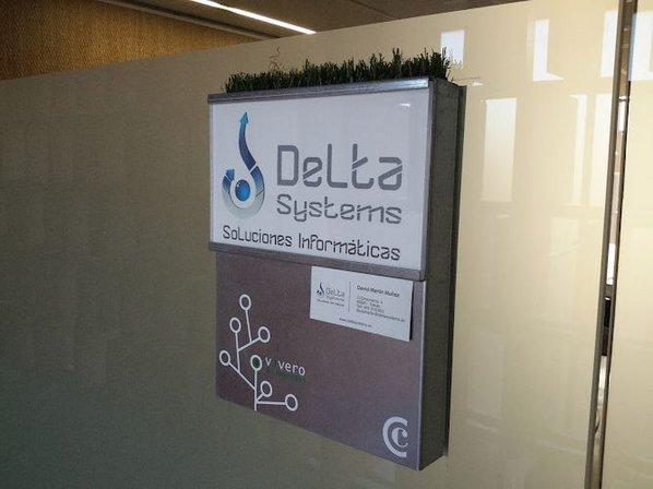 DeltaNet Solutions