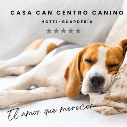 Casa Can Centro Canino