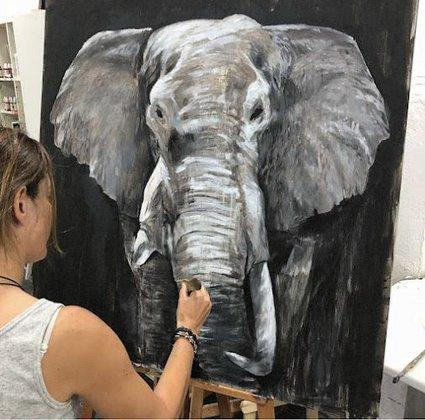 Academias Machado