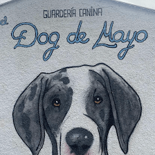 Guardería canina El dog de mayo La Pedriza