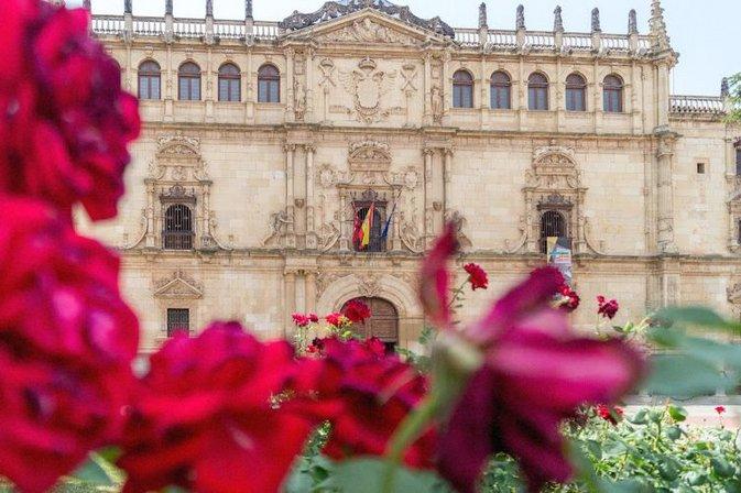 Alcalá University