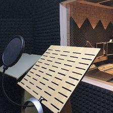 Nesystem Sonido Profesional